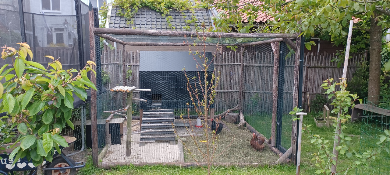 Palen, latten en stokken