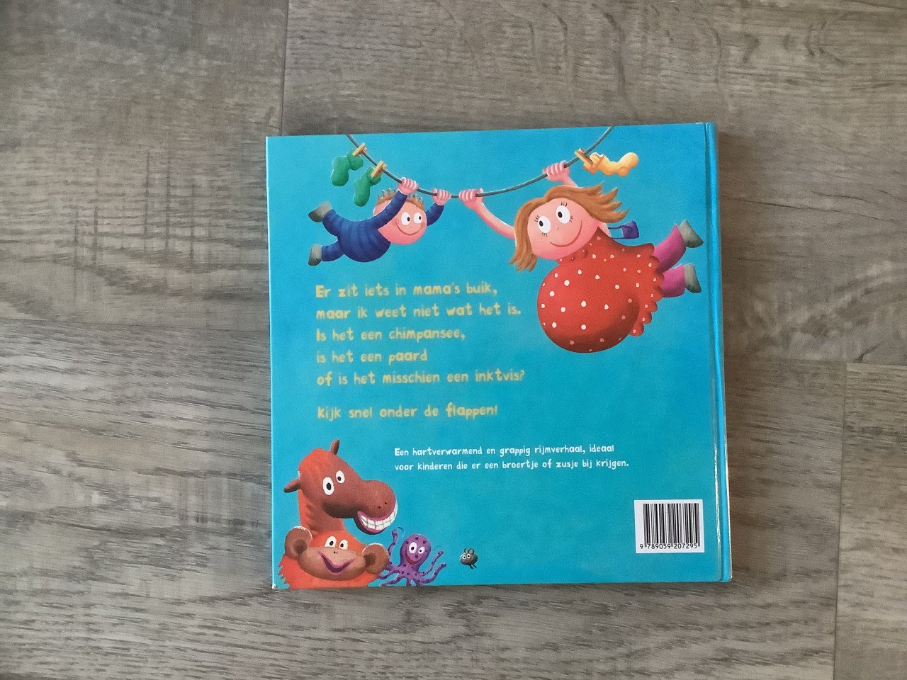Boek: Wat zit er in je buik mama?