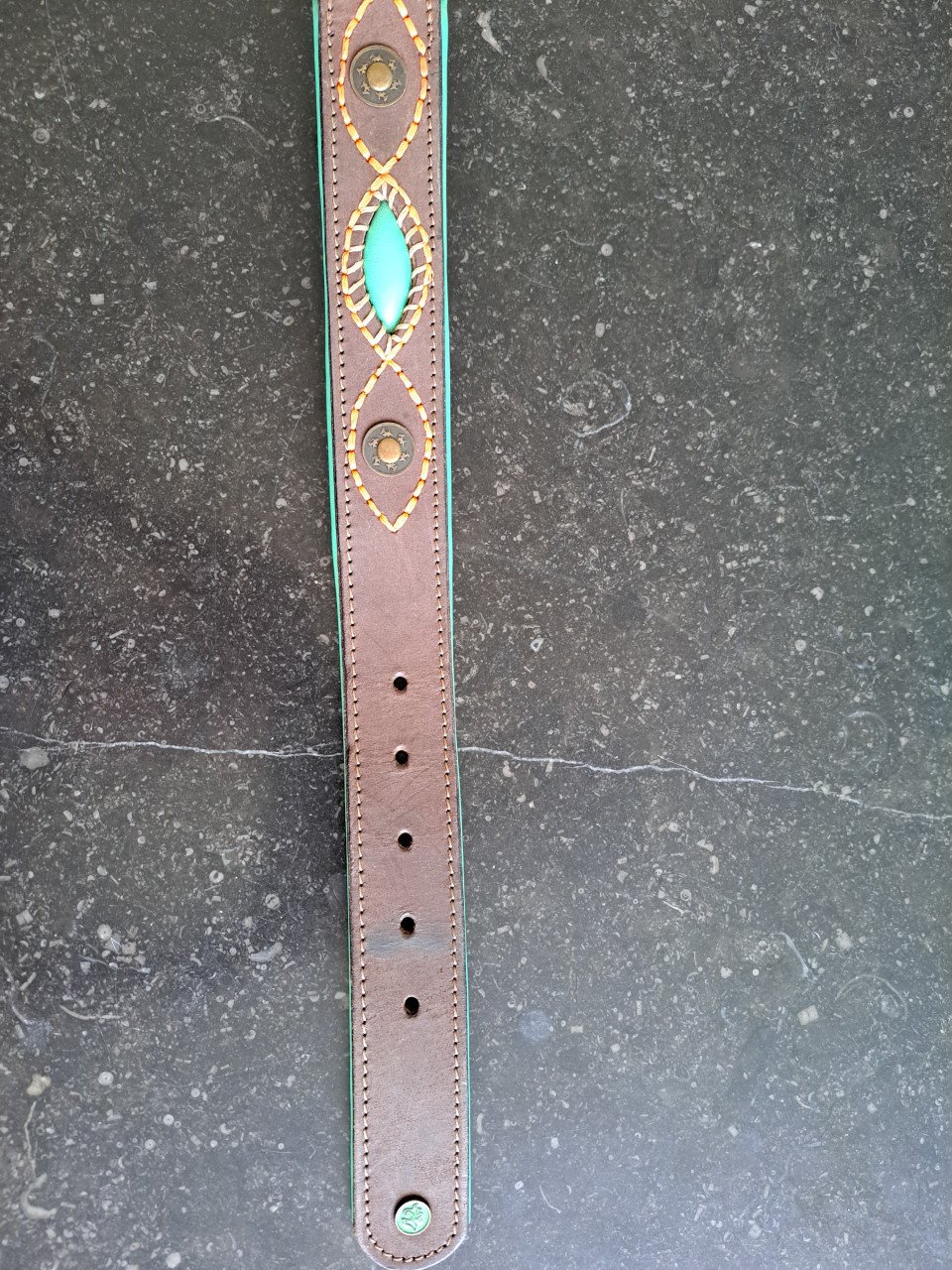 Grote halsband hond Dog wth a mission