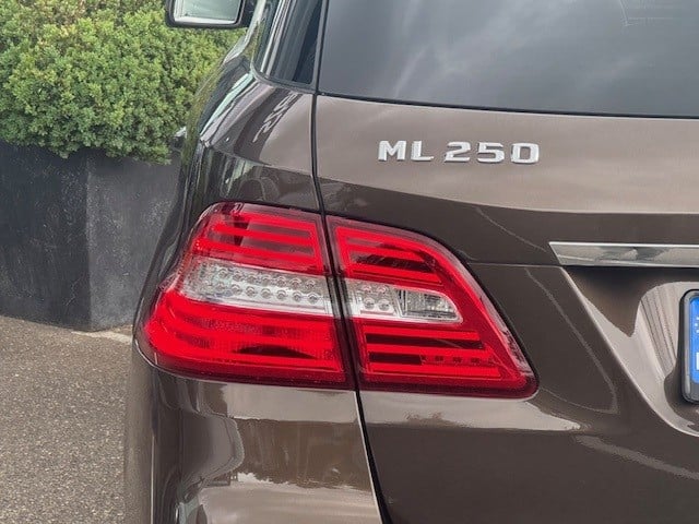 Mercedes-Benz ML-klasse 250 bluetec | spiegelpakket | privacyglas | stoelve