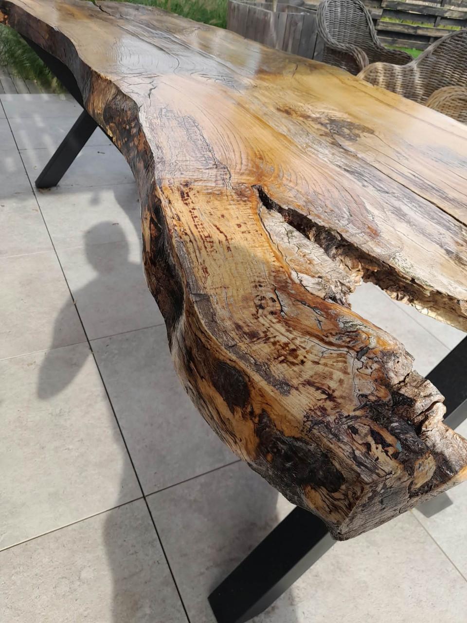Unieke Boomstamtafel in Beuk 250x80x78 cm
