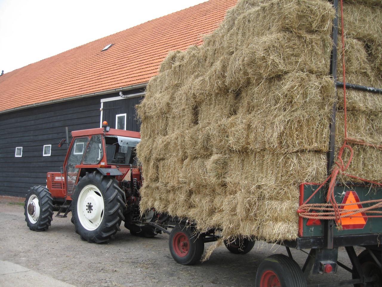 Weidehooi, graszaadhooi en stro