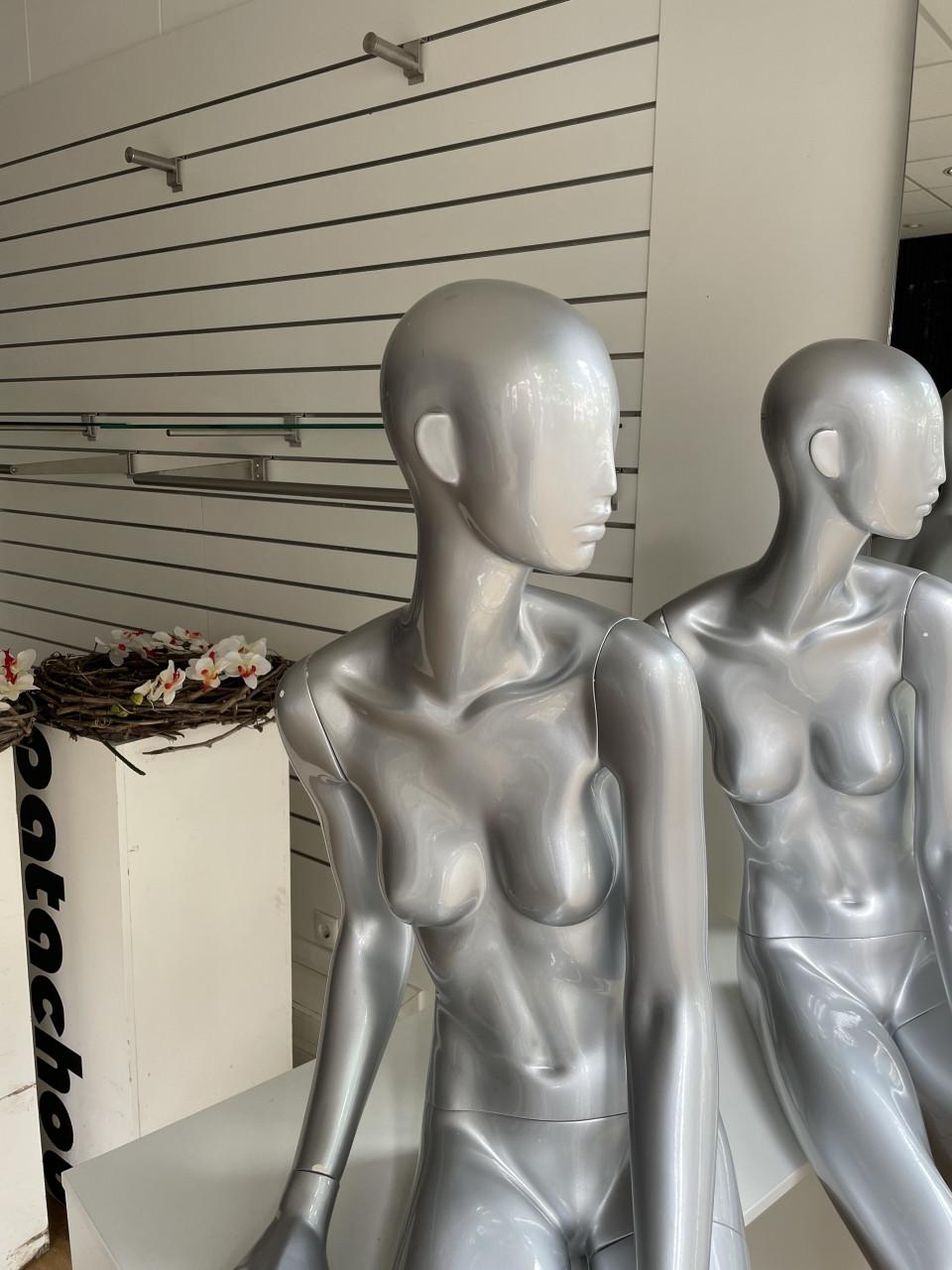 Glansgrijze zittende design paspoppen