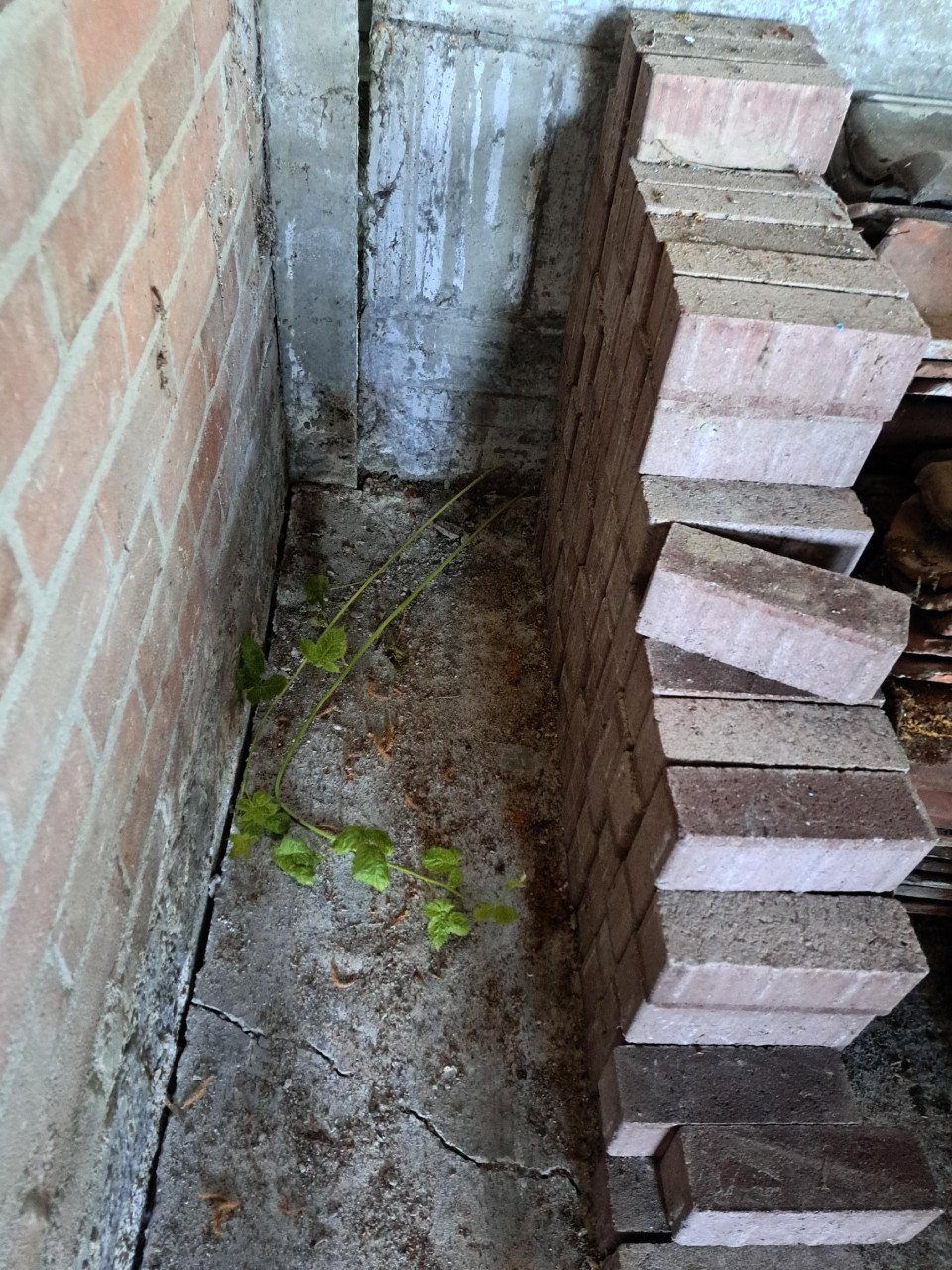 Gratis af te halen 105 stuks rode stenen van 6,5 x 20,5 cm