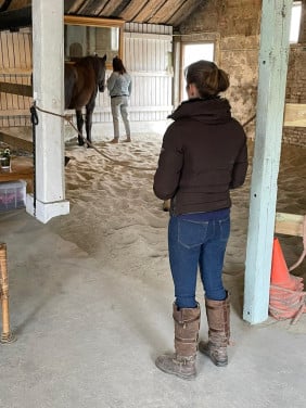 Familieopstellingen & paardencoaching