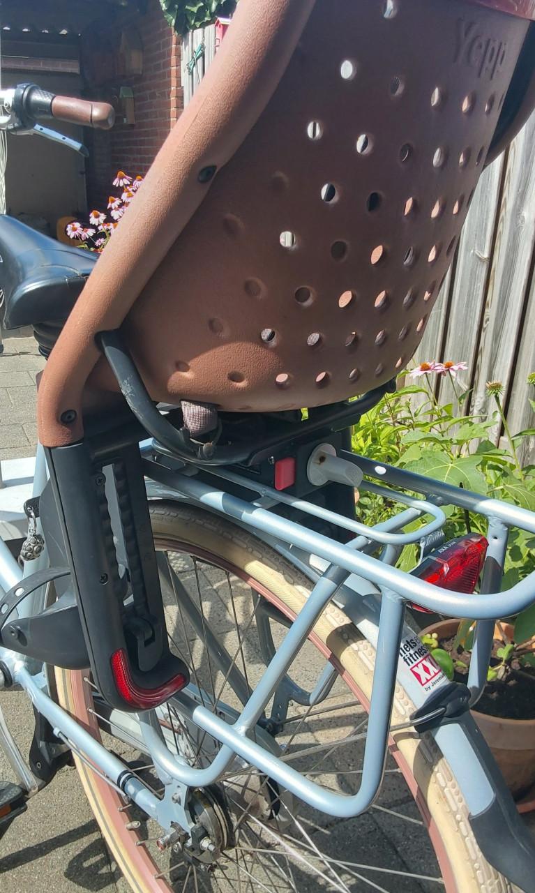 Thule Yepp Maxi Easyfit fietsstoeltje voor een max gewicht van 22 kg.