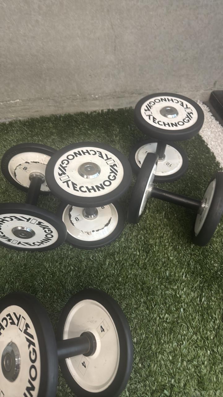 Dumbells Technogym