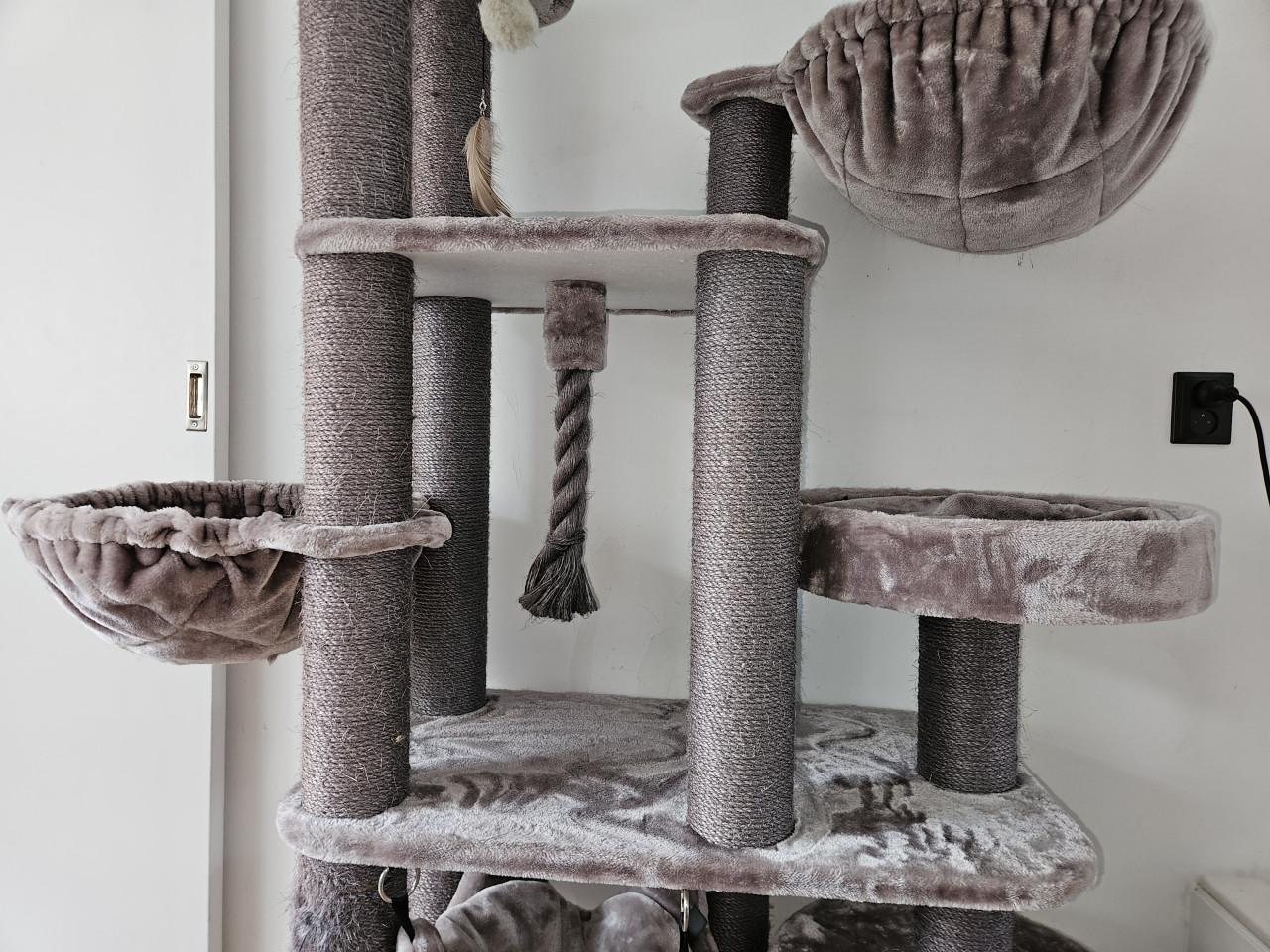 Katten krabtoren van Pet Rebels