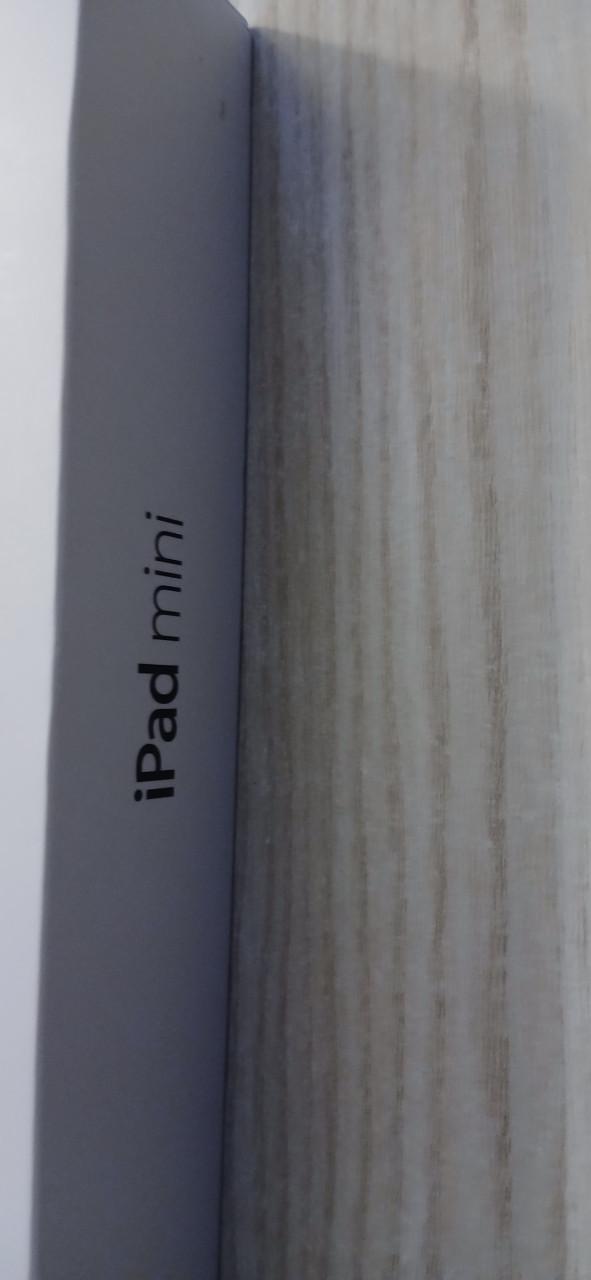 Mini ipad