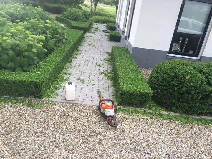 Tuinaanleg & Tuinonderhoud Reimerswaal