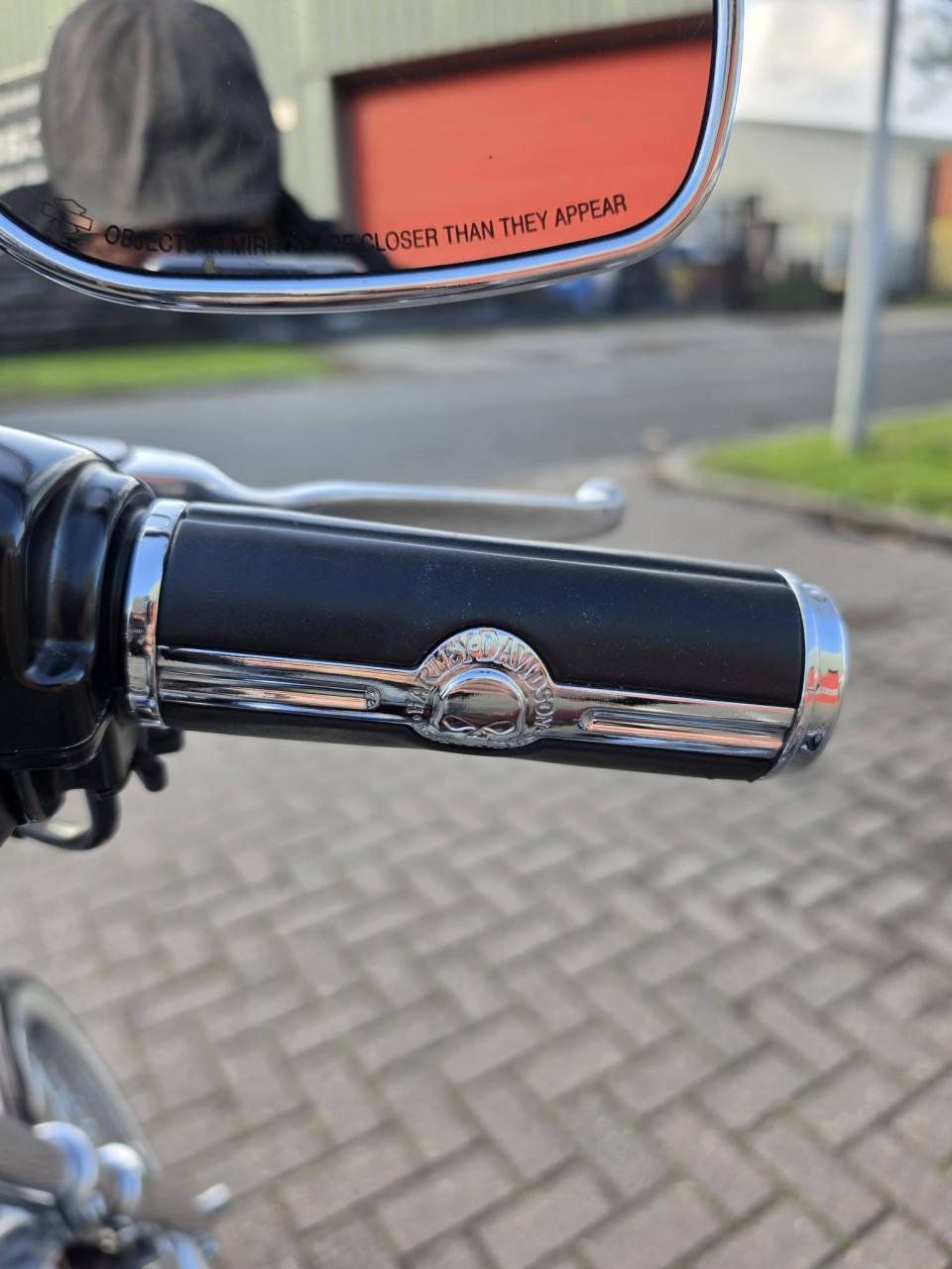 Harley-Davidson 1200😍 Custom Sportster – 95th Anniversary Edition