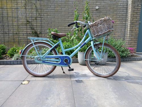 Meidenfiets 20 inch