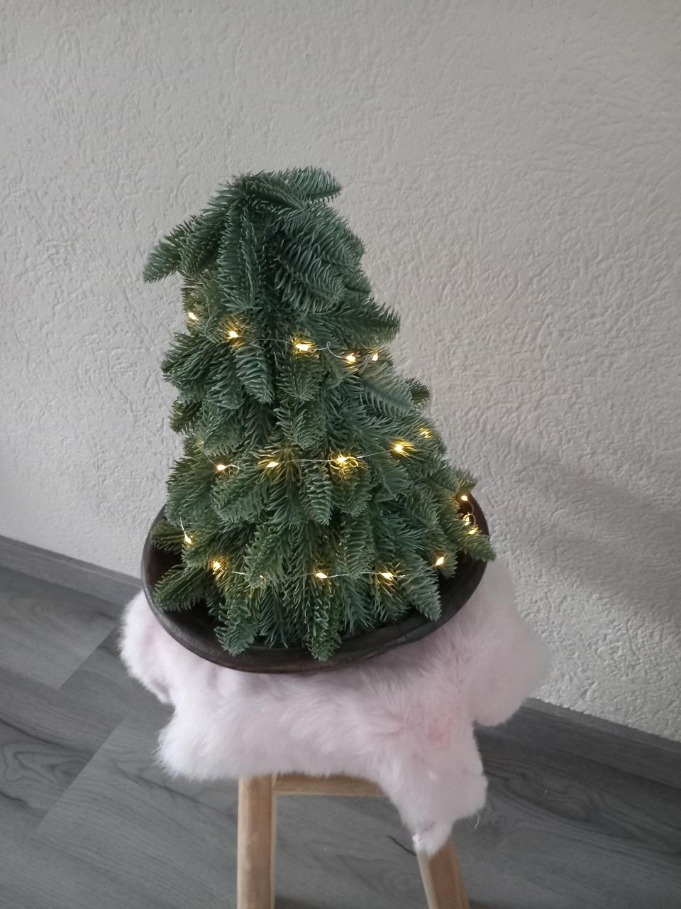 Kunst nobelis boompje