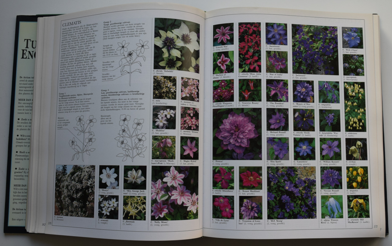 Atrium tuinplantenencyclopedie.