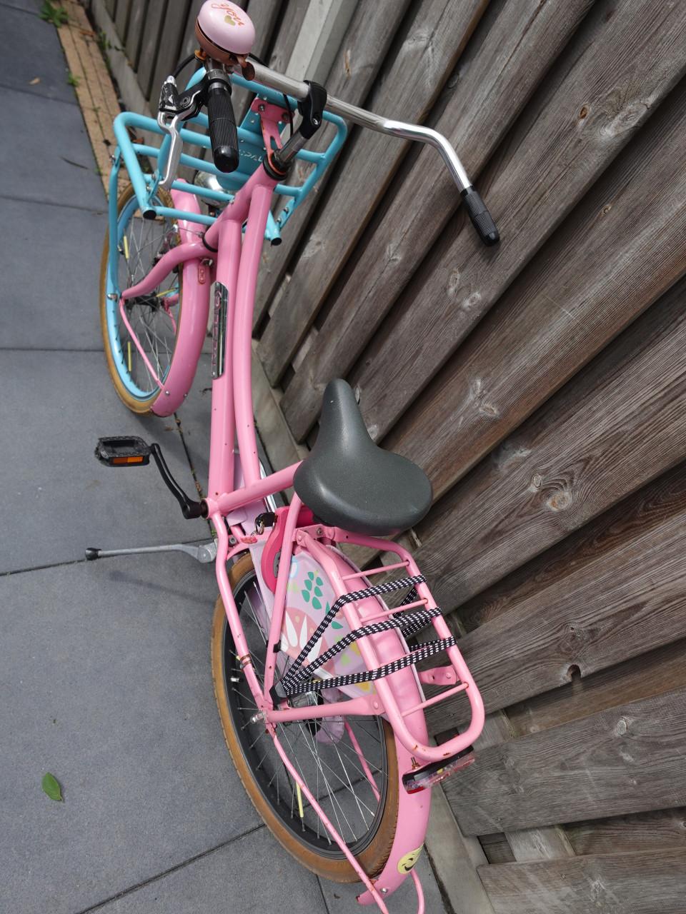 🚲 Popal Daily Dutch Bloom 22 Inch – Transportfiets – €125,-