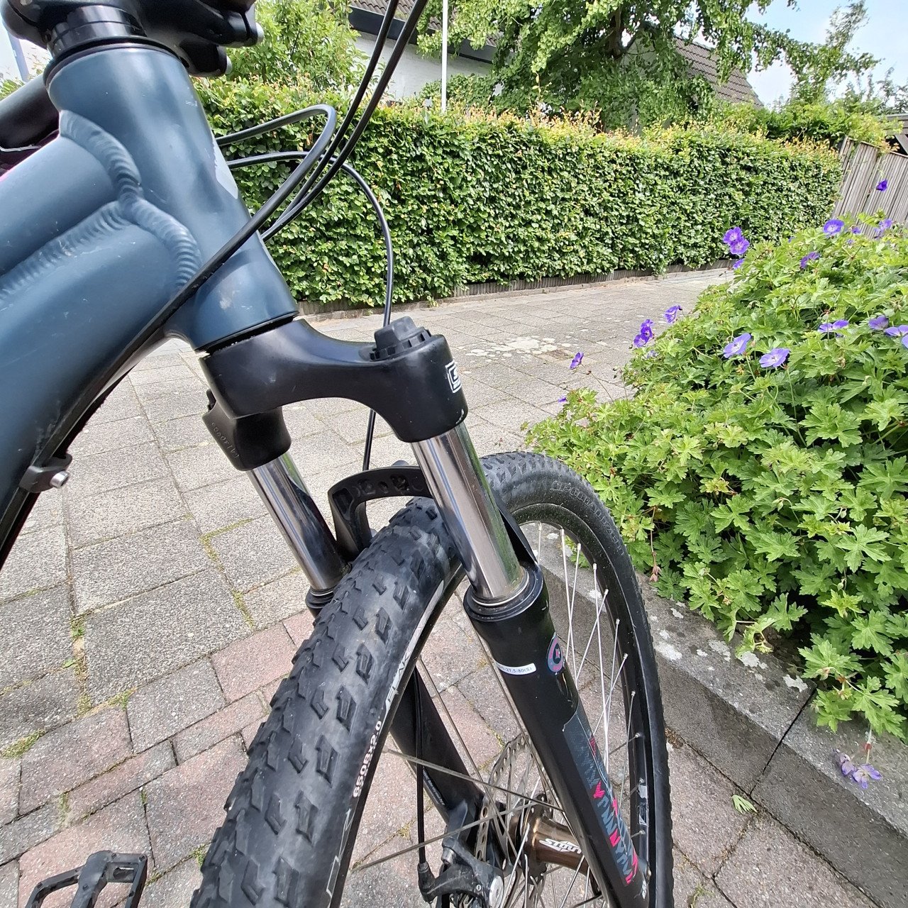 Specialized Jynx 27.5inch Women's  Sport Trail