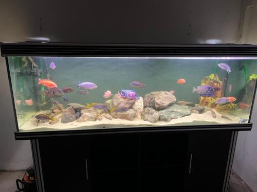 Aquatlantis fusion 180 + meubel