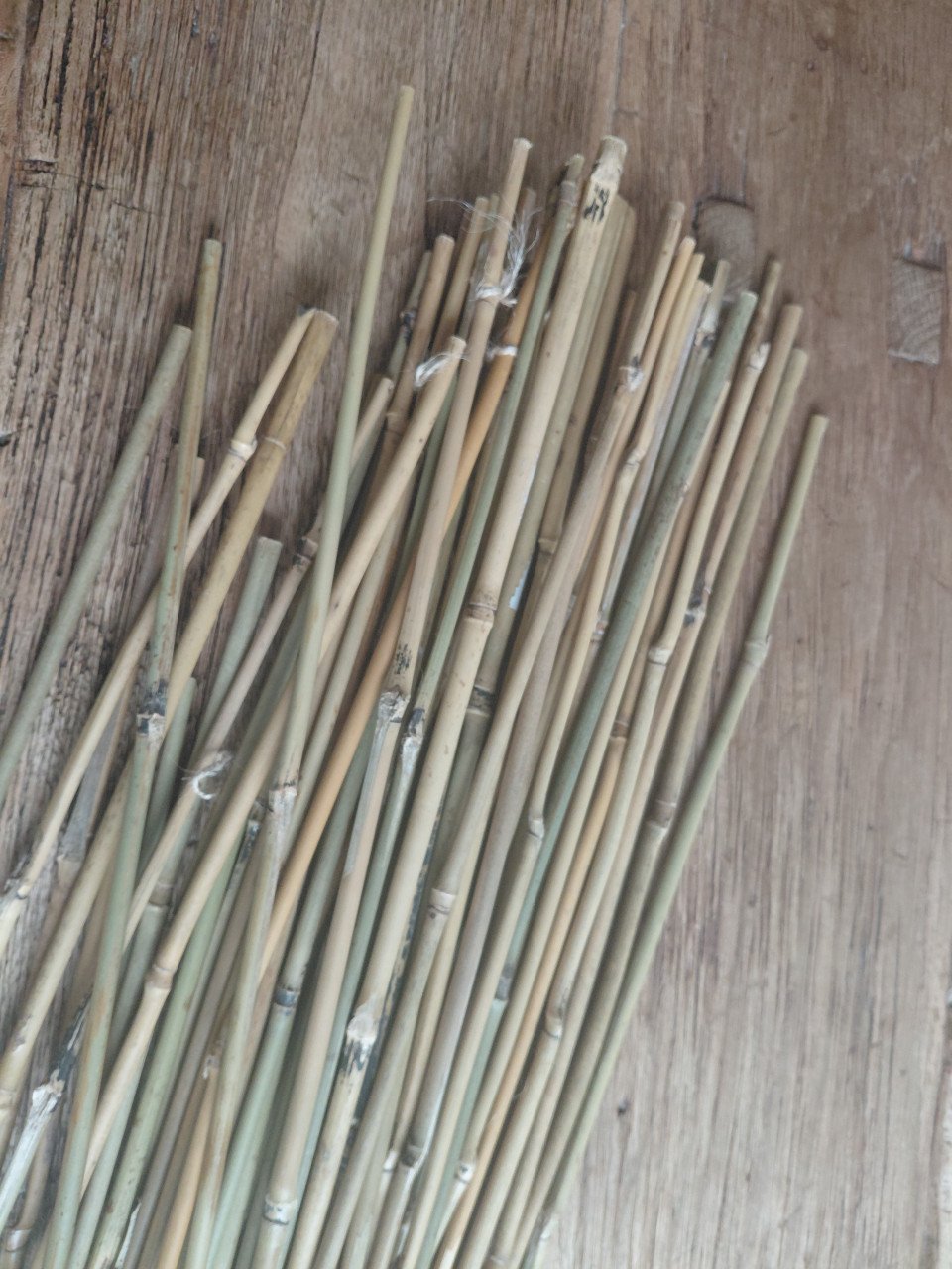 Bamboe stokken, 60 cm