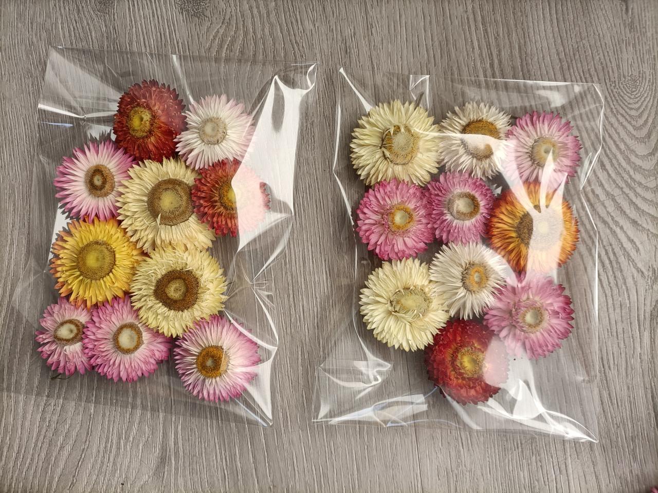 Strobloem knoppen 10st €0,50