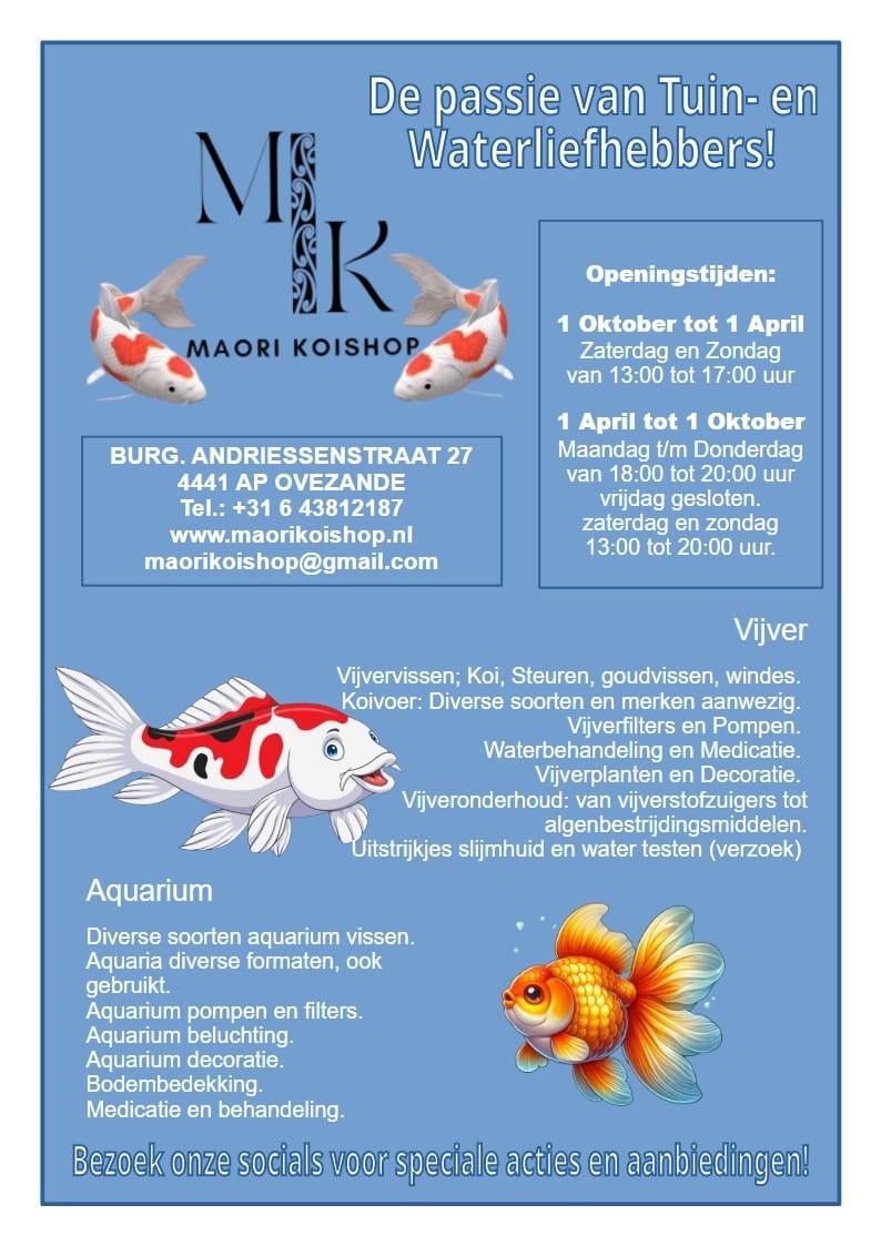 Maori Koishop - Ovezande