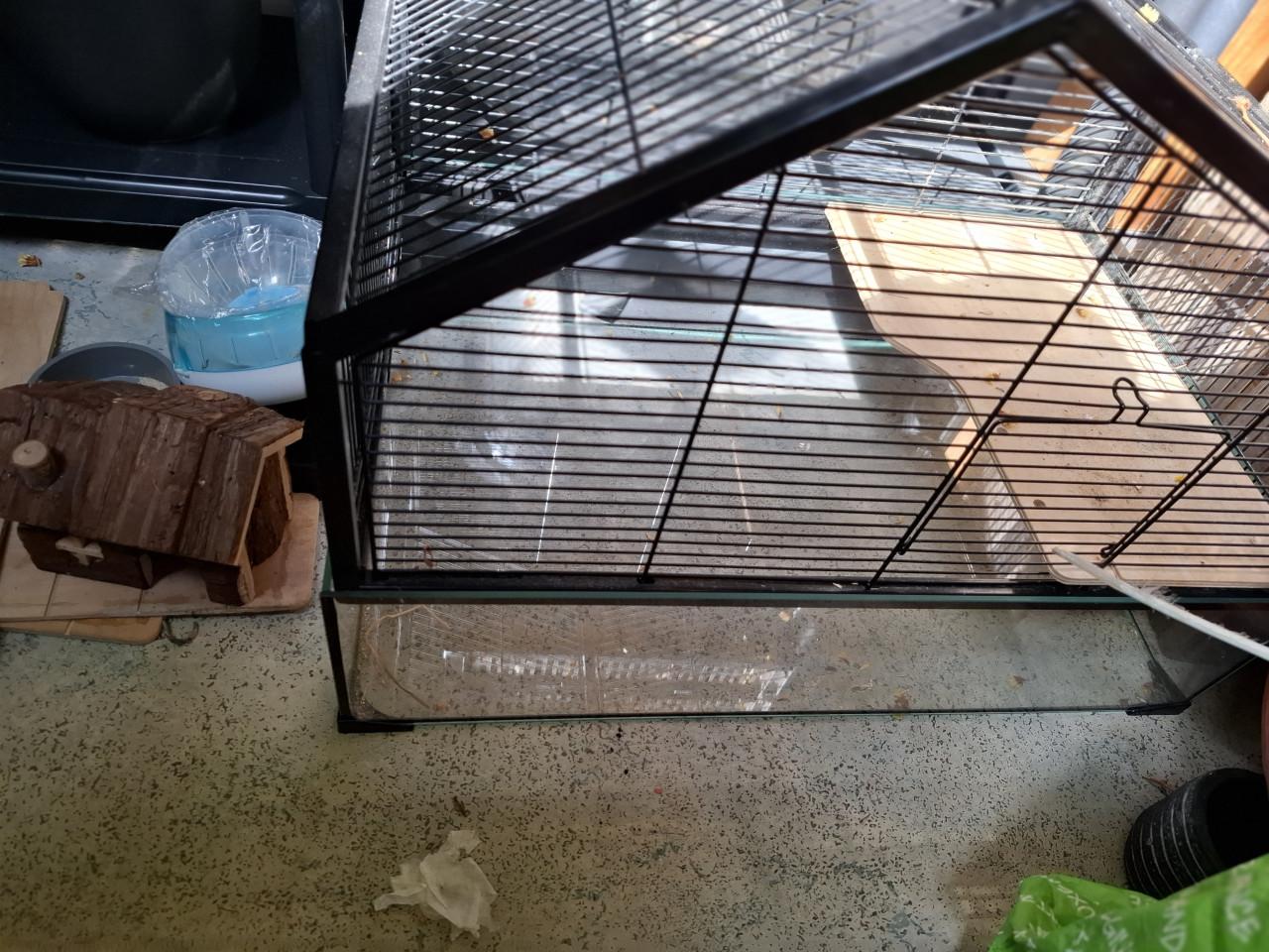 Hamsterkooi