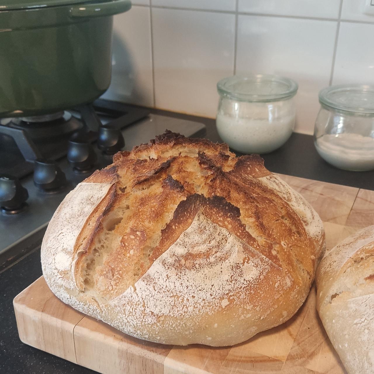 Gedroogde zuurdesemstarter