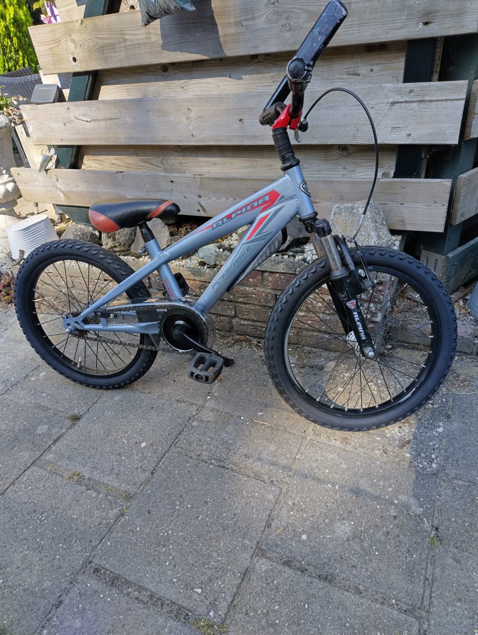 Mtb Alpina powerbike