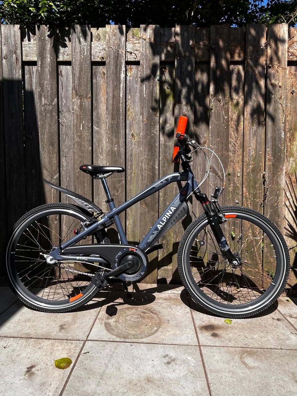 Alpina Trial 24”