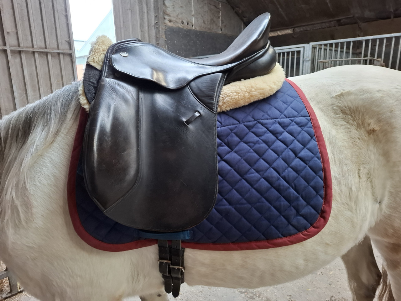 Kieffer dressuurzadel te koop