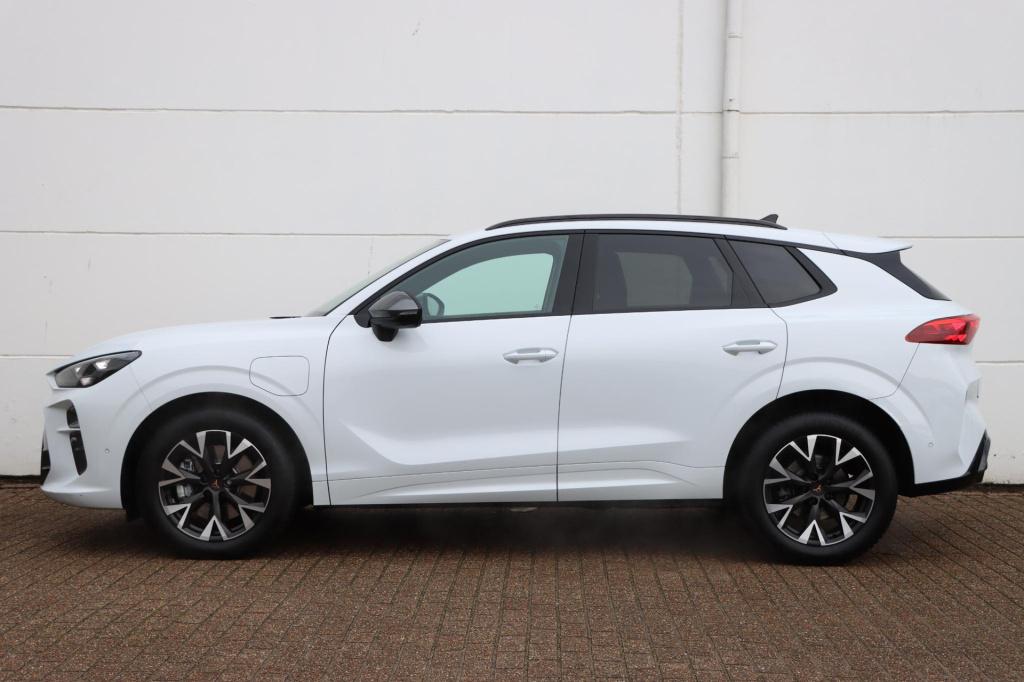 Cupra Terramar 1.5 tsi ehybrid business 204pk dsg6