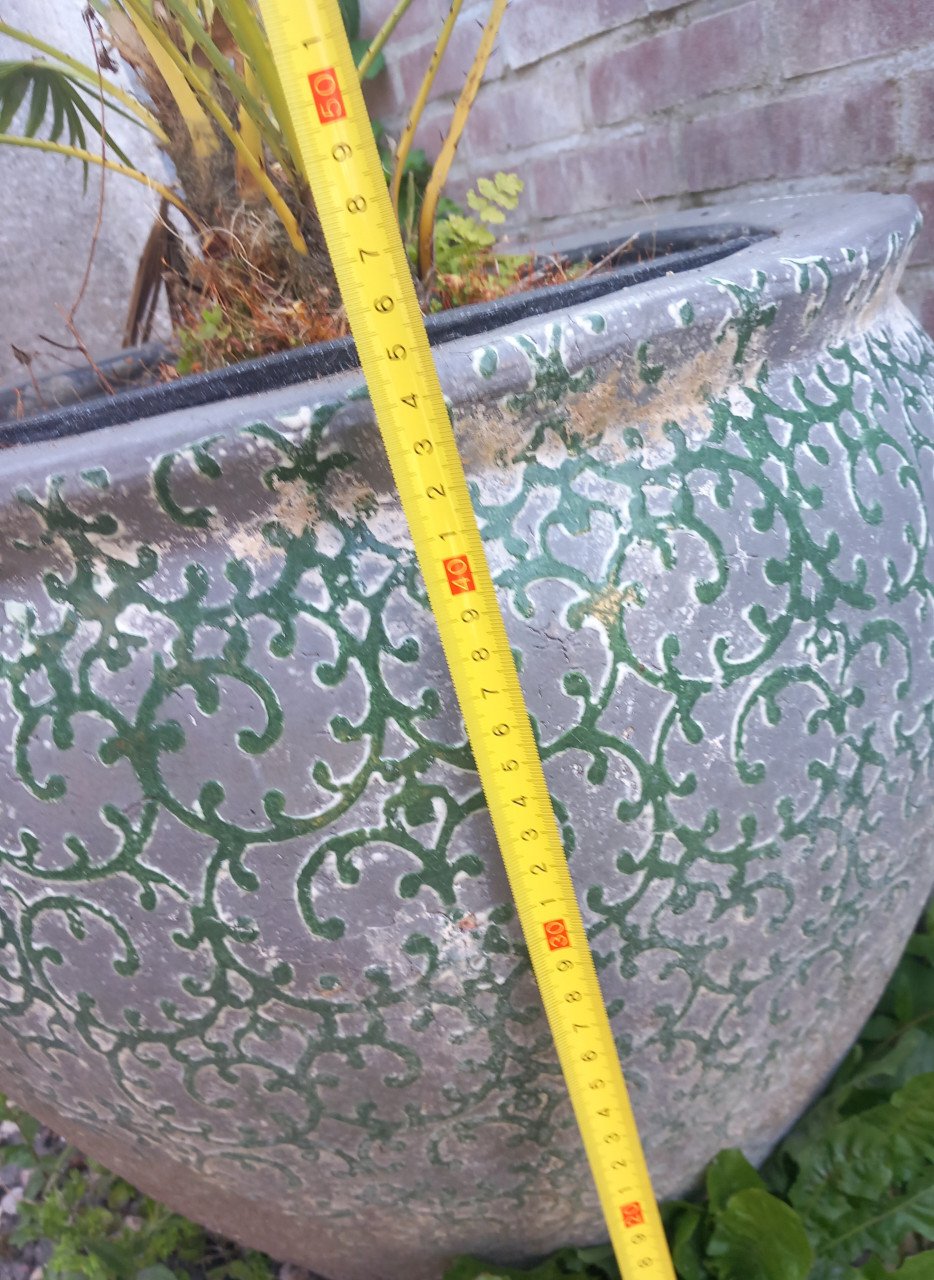 Palm inclusief grote pot