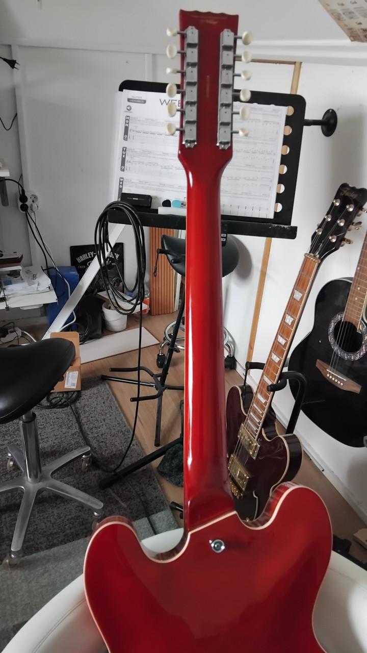 Semi hollow body 12 snarige elektrischhe gitaar