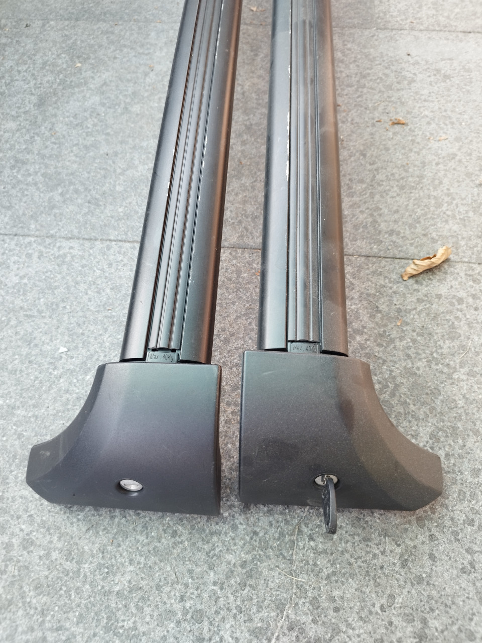 Dakdragers tbv model Renault Scenic 2005