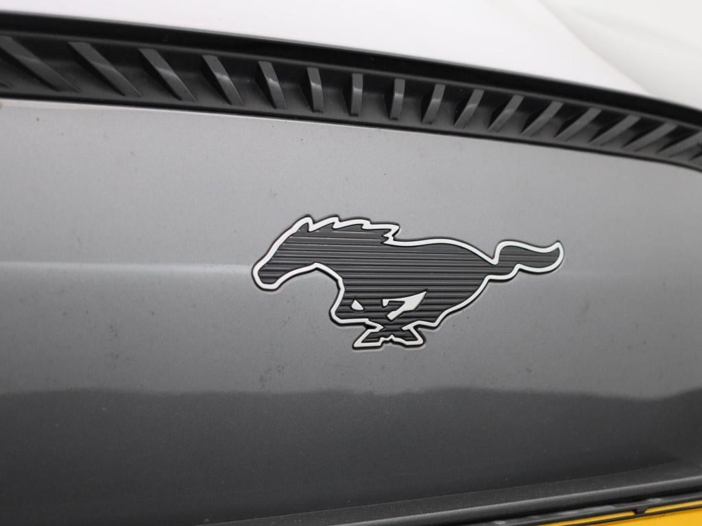 Ford Mustang Mach-e rwd 75 kwh adapt. cruise control - leren bekleding