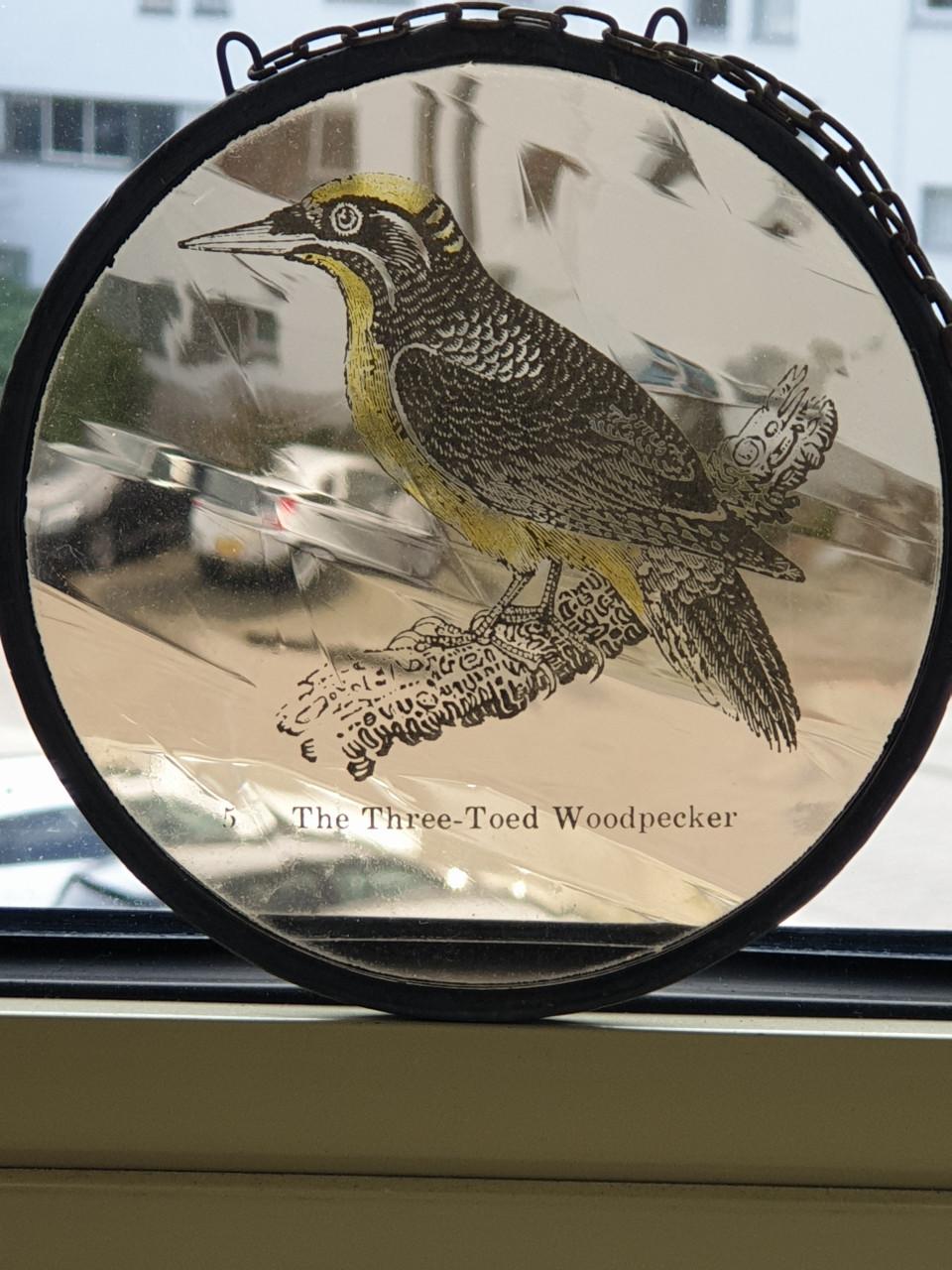 Raamhanger glas in lood Specht