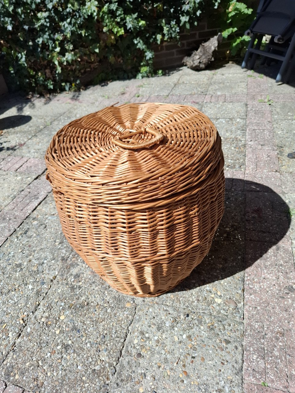 Grote rieten mand/slangenmand/inclusief deksel/rotan