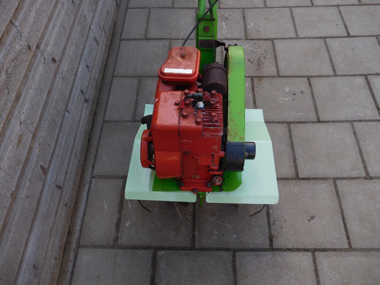 Tuinfrees