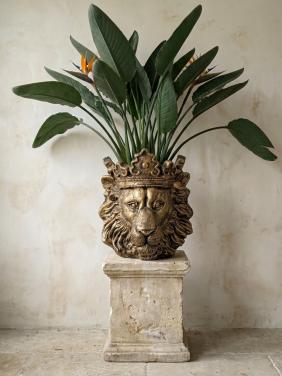 Grote Leeuwenkop bloempot