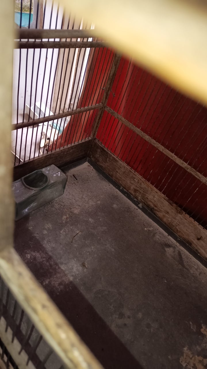 Grote houten antieke vogelkooi