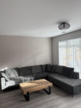 Grote groene hoekbank