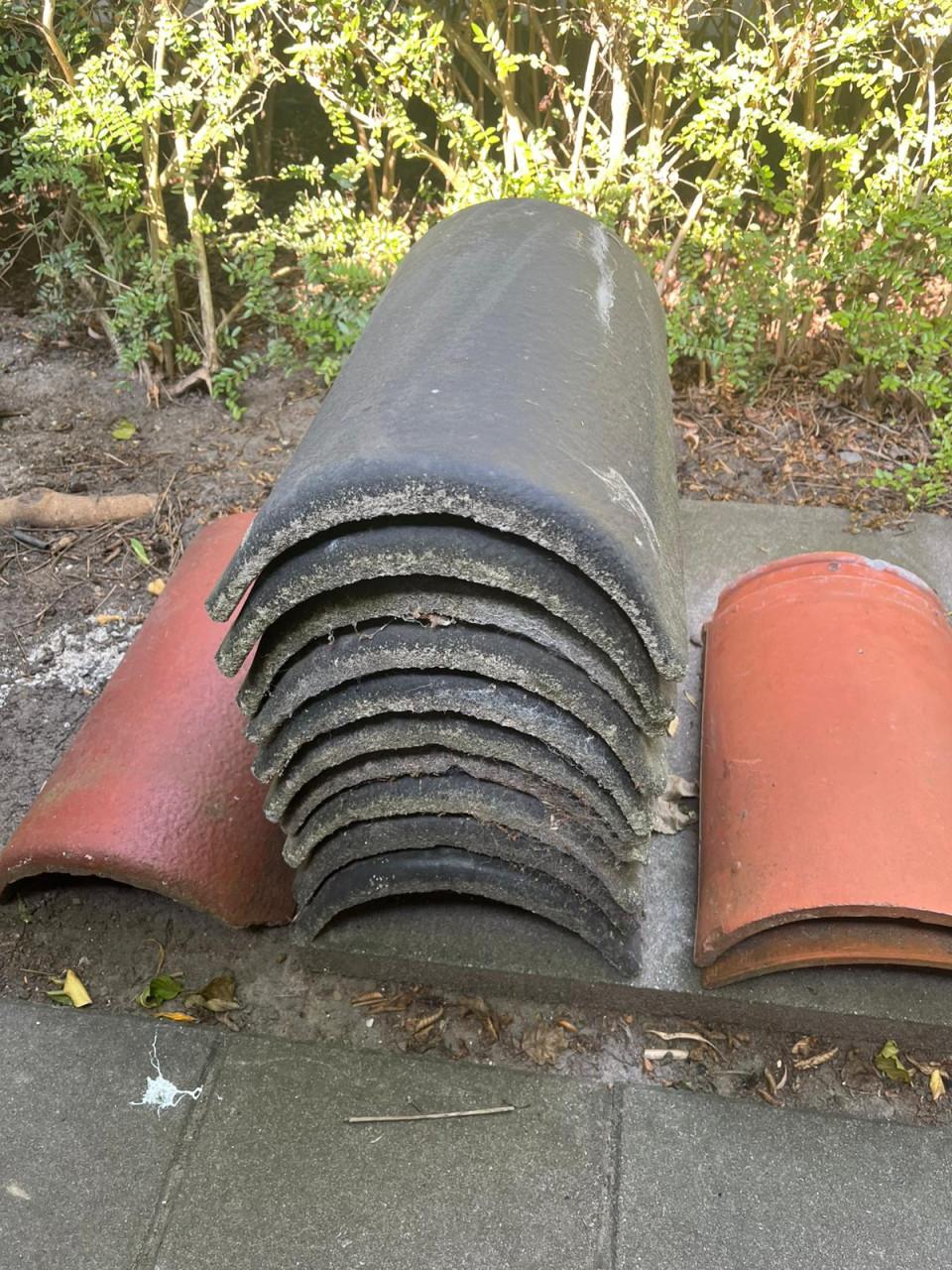 Nokvorsten (diverse types)