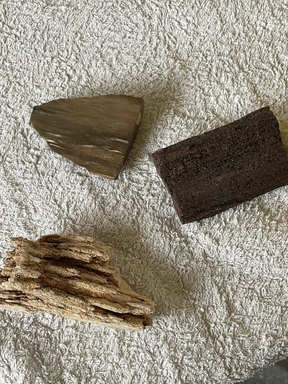 Mineralen en fossielen