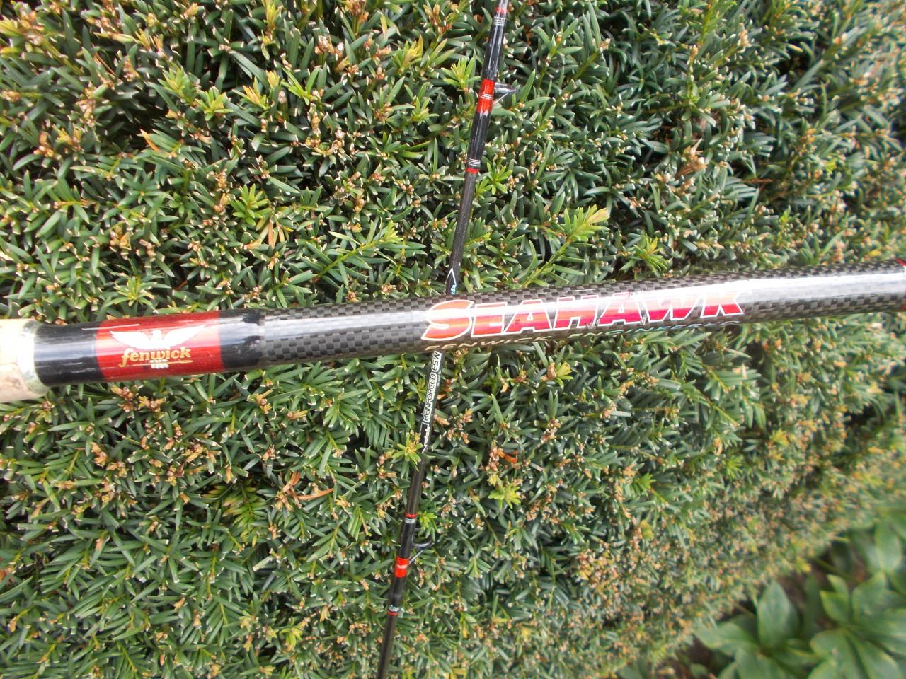 FENWICK SEAHAWK Carbon zeebaars lengte 300 cm w.g. 80-150 gram