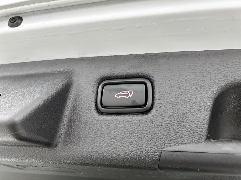 Kia Ceed Sportswagon 1.5 t-gdi gt-line | grote laadruimte | half-leder | pa