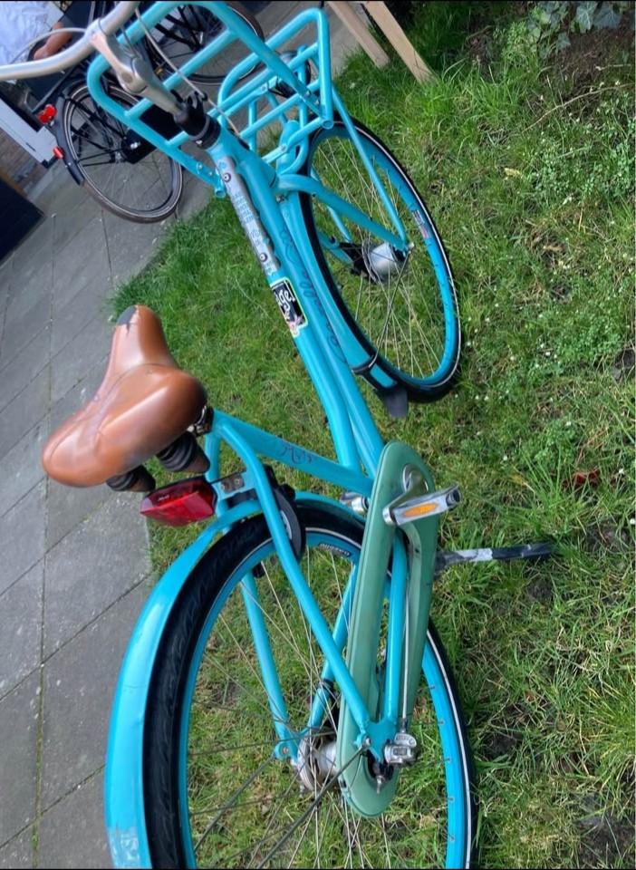 Opknapper Gazelle Miss Grace