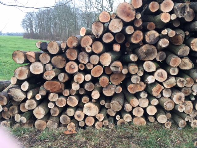 Boomstammen/Haardhout/Brandhout/Kachelhout Eik-Beuk-Es-Berk