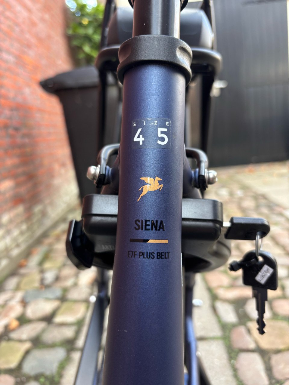 Te koop, Pegasus Siena E7F plus belt 500WH accu