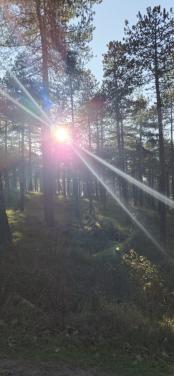 BMW X2 rubber matten