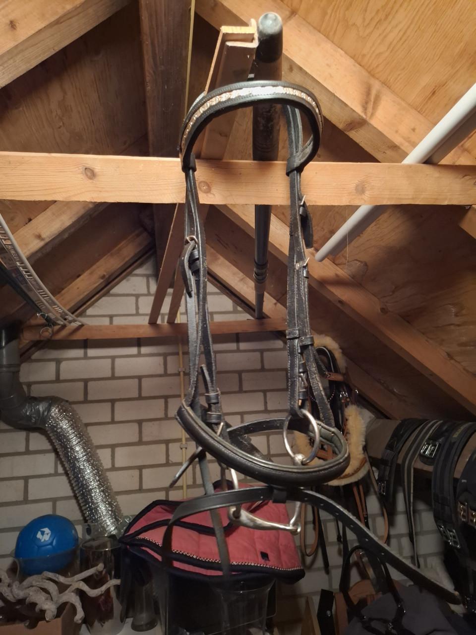Halsters