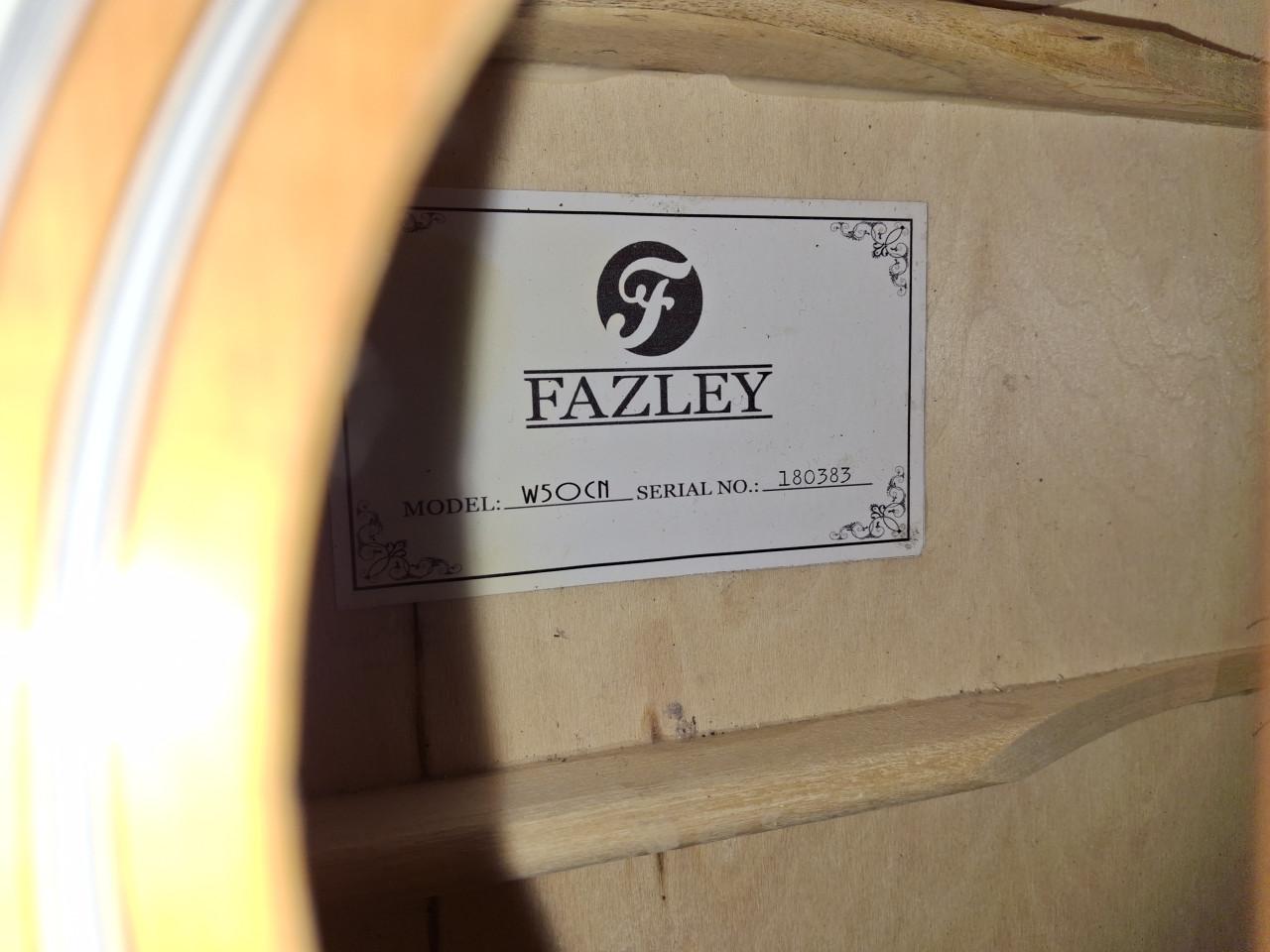 Fazley gitaar